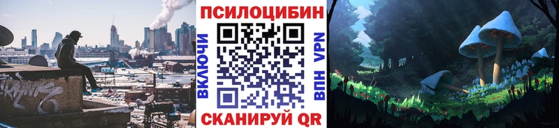 Купить  Юрьев-Польский  Псилоцибиновые грибы MAGIC MUSHROOMS 